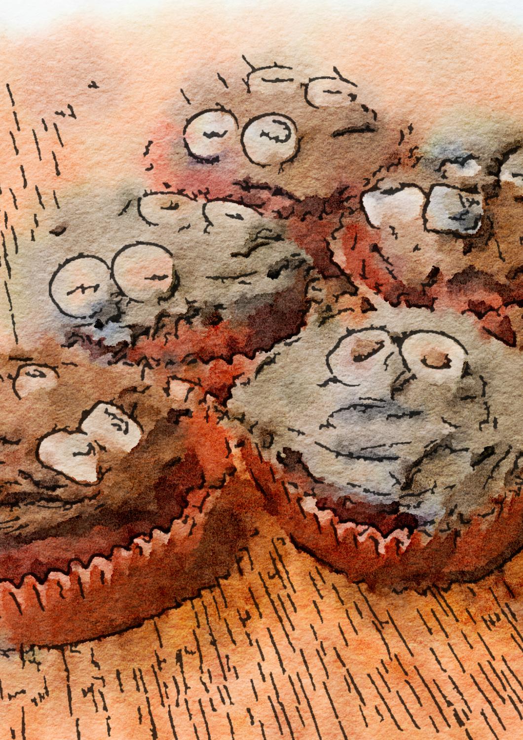 Dark Cave Chocolate Cupcakes