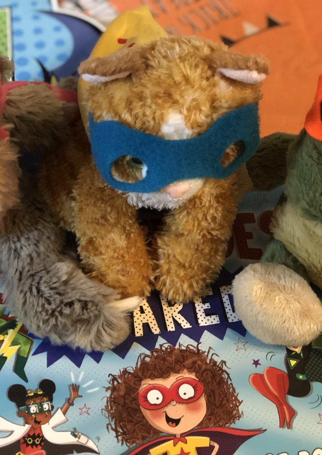 Make Your Own Super Teddies